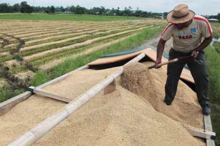 Entre Ríos alcanzó una producción agrícola récord de más de siete millones de toneladas