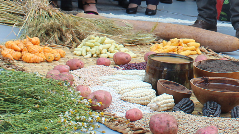 Feria de intercambio de semillas y plantas se realizará en Oro Verde