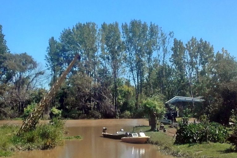 Producción inspeccionó más de 100 hectareas forestales en el delta entrerriano