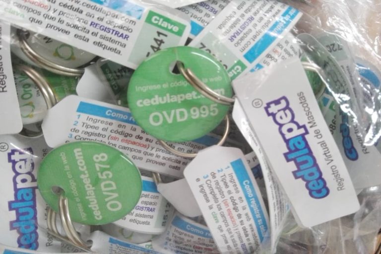 Entregarán las medallas identificatorias para mascotas