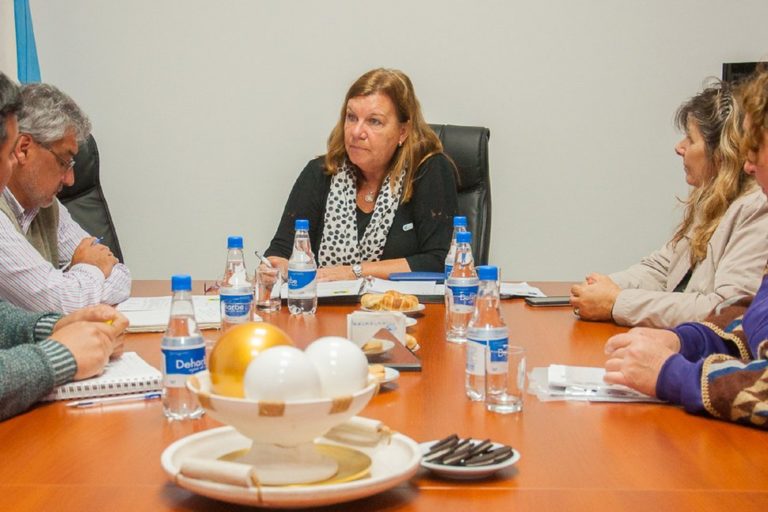 Diagraman mejoras viales para Colonia Ensayo