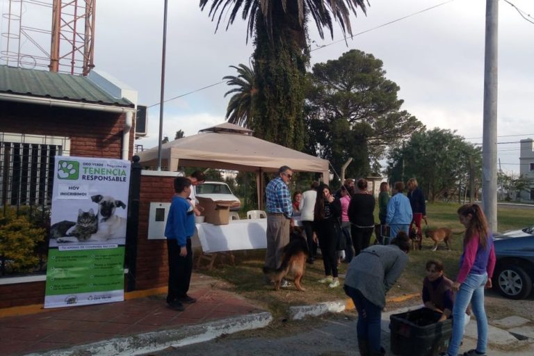 338 mascotas fueron vacunadas contra la rabia en Oro Verde