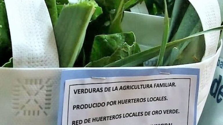 Taller de Huerta Familiar para en la producción de alimentos agroecológicos en Oro Verde
