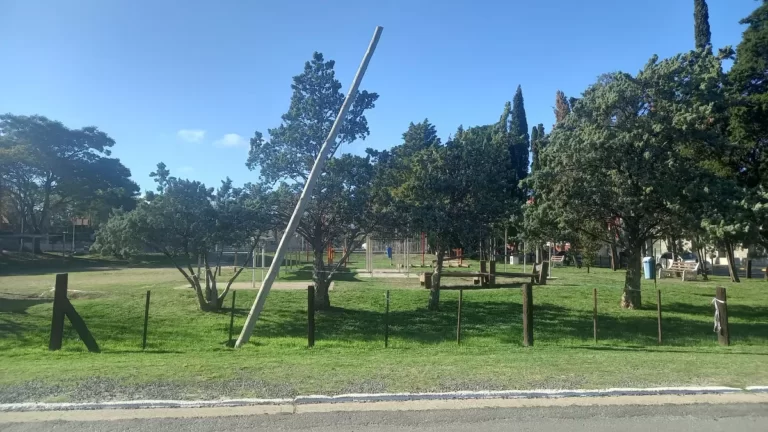 Un tren y un poste: Crisis de gestión en Oro Verde