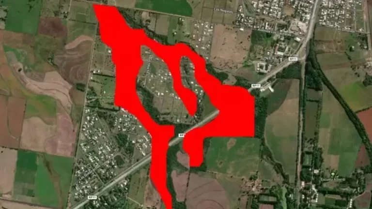 Desmonte ilegal realizado en Oro Verde, Andrea Cislaghi brindó precisiones en Zorras