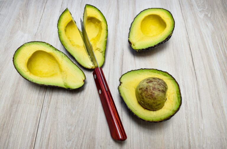 La Importancia de los Espacios Verdes en las Ciudades para una Vida Mejor