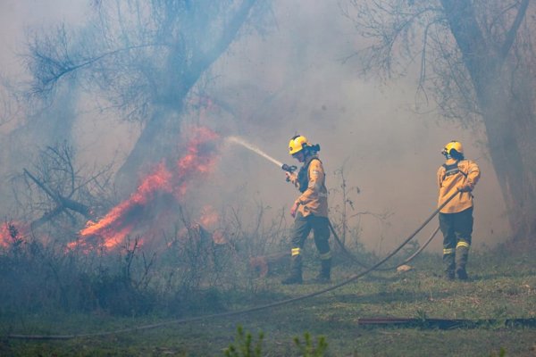 Brigadistas de Entre Ríos se suman a la lucha contra incendios forestales en Chubut