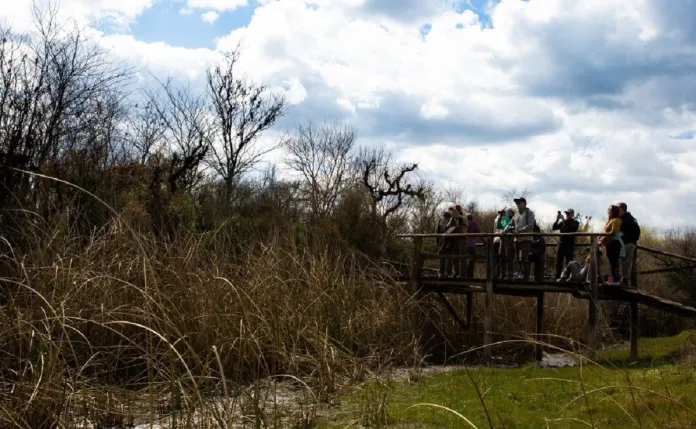 Turista fallece tras picadura de abejas en Entre Ríos: revelan su identidad