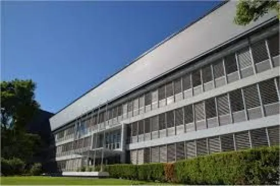 Poder Judicial implementa canales alternativos por fallas técnicas en sus sistemas