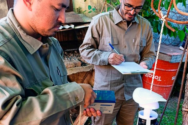 Monitoreo de flebótomos transmisores de leishmaniasis en el norte de Entre Ríos