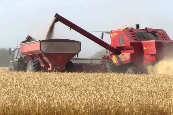 Exportaciones de Entre Ríos Crecieron un 47% en el Último Año