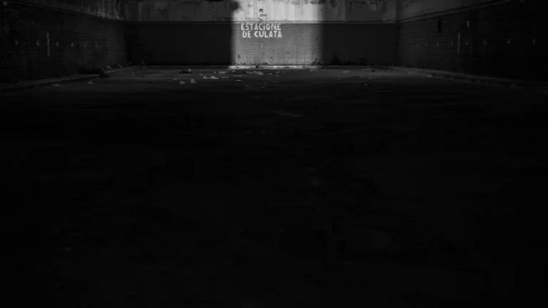 "Deliciosas recetas con vegetales de estación"