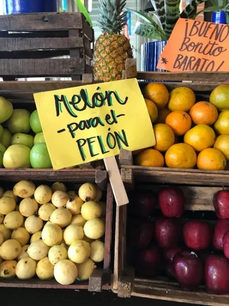 "Peinado ideal para el verano