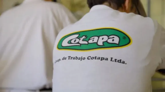 Audiencia por Compra de Cotapa S.A.: Proceso y Requisitos Legales