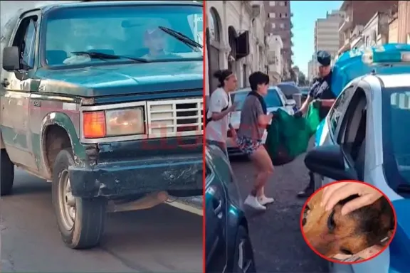 Atropello y abandono de perra por camioneta en Paraná: buscan al responsable